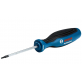 BOSCH atsuktuvas TX10 x 75mm BOSCH atsuktuvas TX10 x 75mm