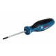 BOSCH atsuktuvas TX15 x 75mm BOSCH atsuktuvas TX15 x 75mm