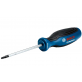 BOSCH atsuktuvas TX20 x 100mm BOSCH atsuktuvas TX20 x 100mm