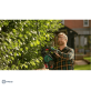 BOSCH AdvancedHedgeCut 36V-65-28 gyvatvorių žirklės 1x2 Ah