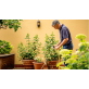 BOSCH GardenPump 18V-2000 vandens siurblys 1x2.5 Ah