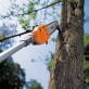 STIHL HT-KM augsto zaru zāģis